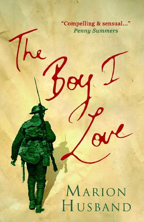 Book cover of The Boy I Love