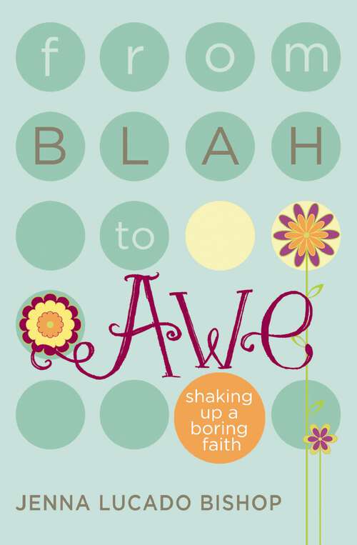 Book cover of From Blah to Awe: Shaking Up a Boring Faith