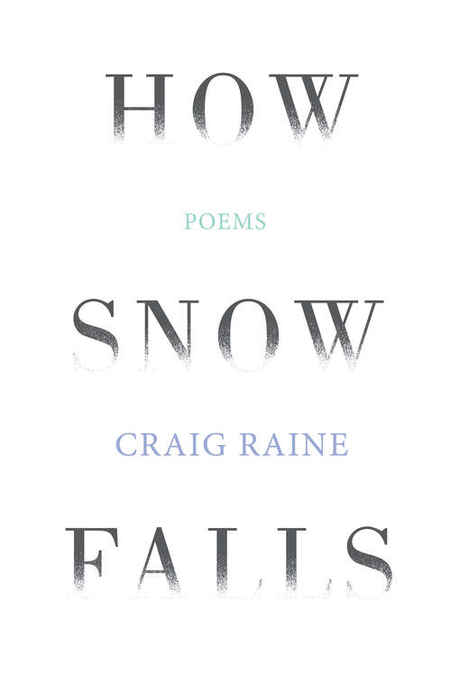 Book cover of How Snow Falls