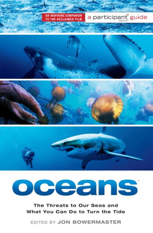 Book cover of Oceans: The Threats to Our Seas and What You Can Do to Turn the Tide
