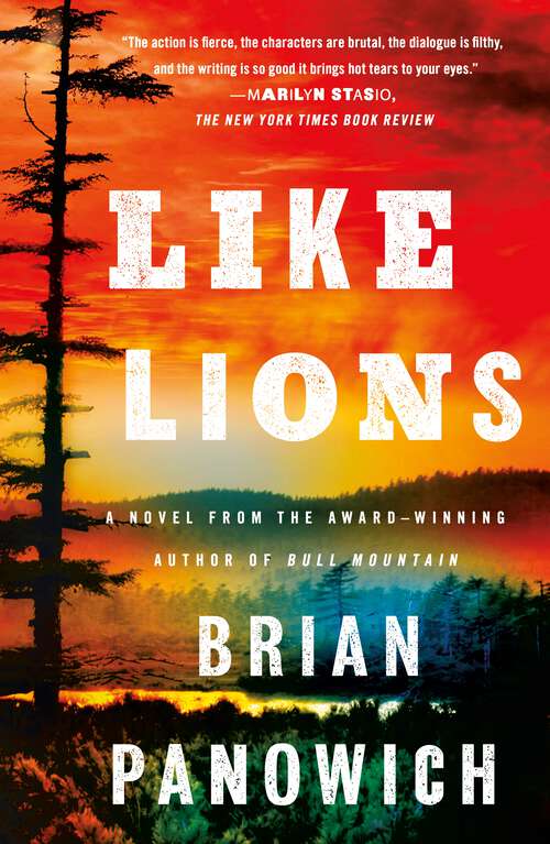 Book cover of Like Lions: A Novel