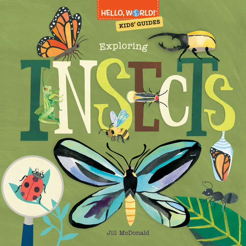 Book cover of Hello, World! Kids' Guides: Exploring Insects (Hello, World!)