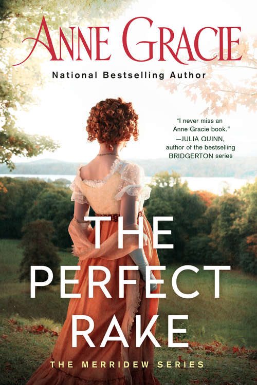 Book cover of The Perfect Rake