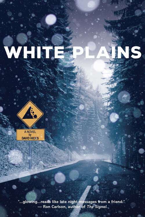 Book cover of White Plains: A Novel