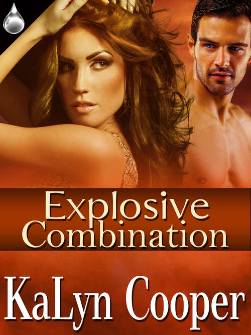 Book cover of Explosive Combination