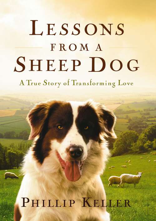 Book cover of Lessons from a Sheep Dog