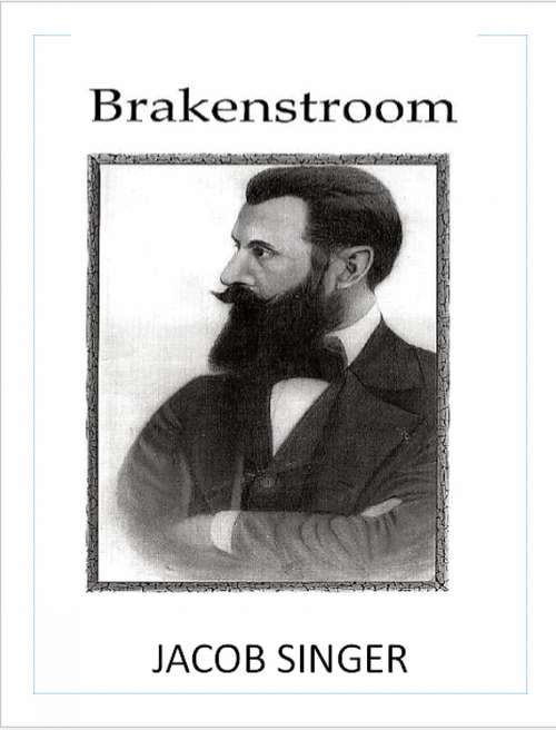 Book cover of Brakenstroom