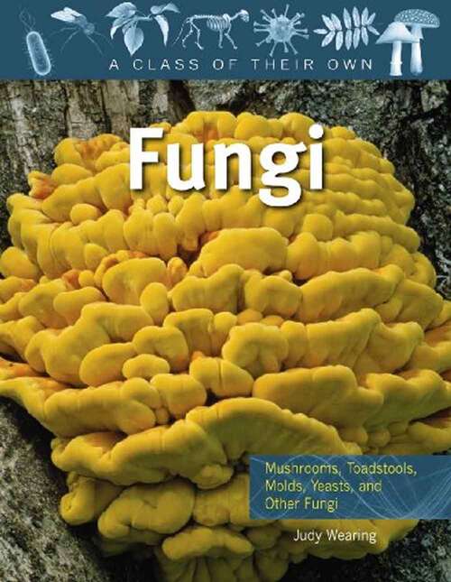 Book cover of Fungi: Classifying Mushrooms, Toadstools, Molds, Yeasts, and Other Fungi (Class of Their Own)