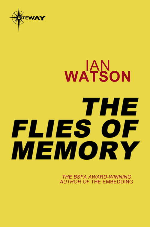 The Flies of Memory