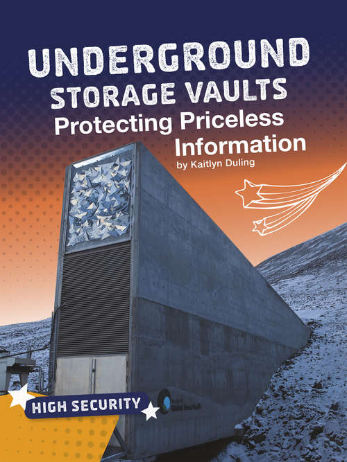 Book cover of Underground Storage Vaults: Protecting Priceless Information (High Security)