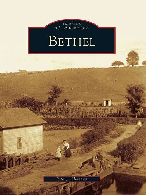 Book cover of Bethel