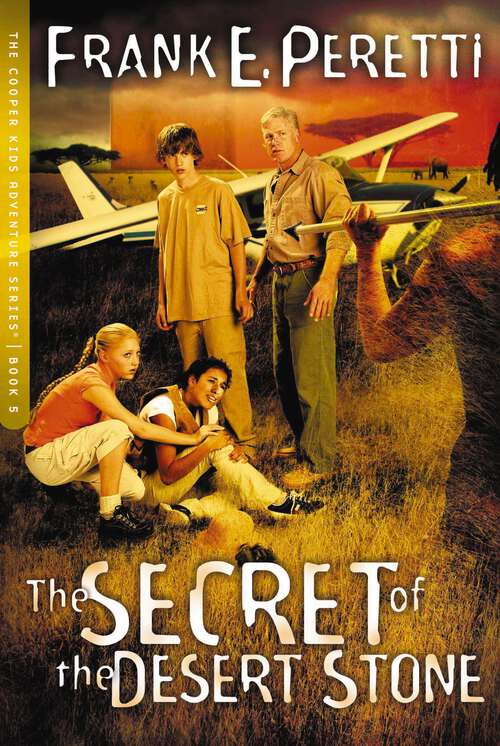 Book cover of The Secret of The Desert Stone