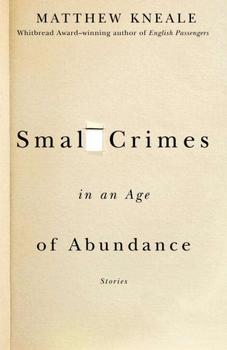Book cover of Small Crimes in an Age of Abundance