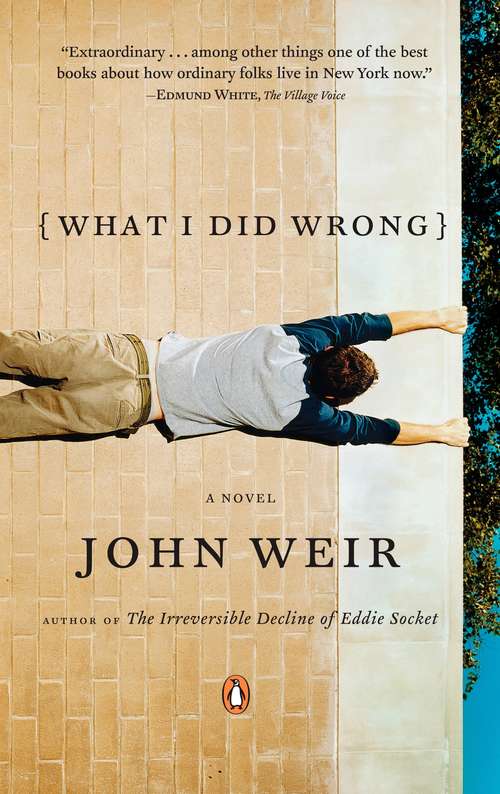 Book cover of What I Did Wrong