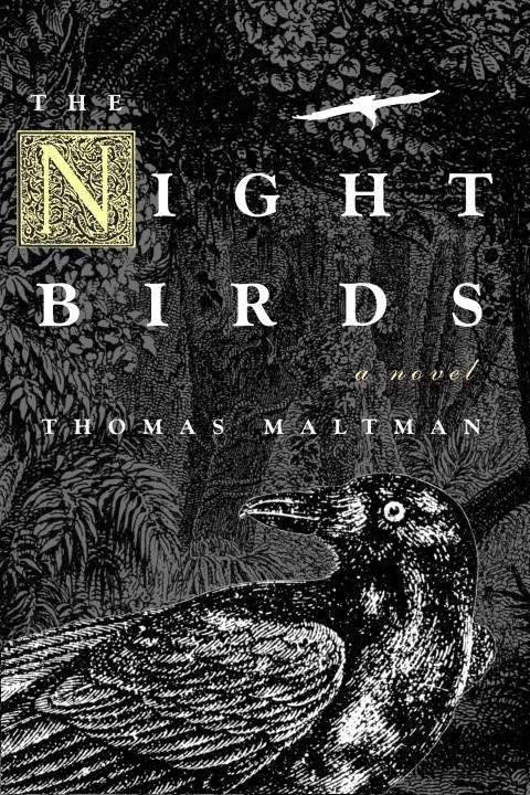 Book cover of The Night Birds