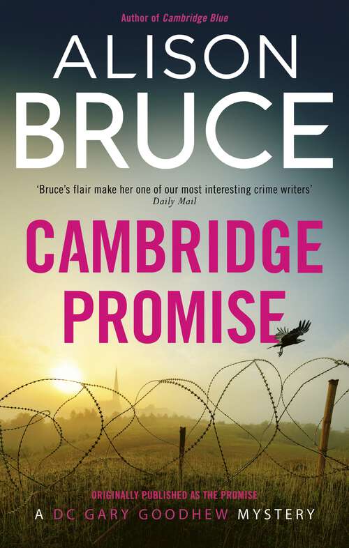 Book cover of The Promise