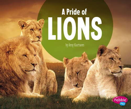 Book cover of A Pride of Lions (Animal Groups Ser.)
