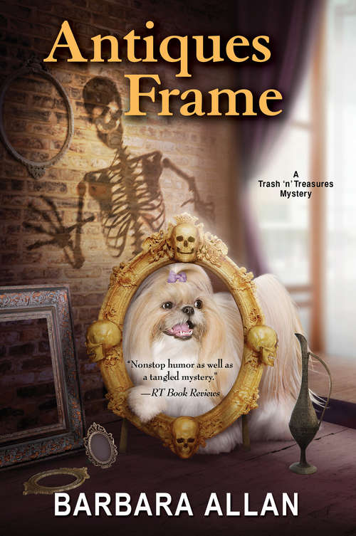 Book cover of Antiques Frame