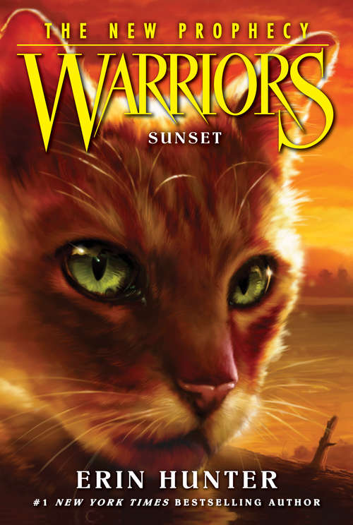 Book cover of Sunset (Warriors: The New Prophecy #6)
