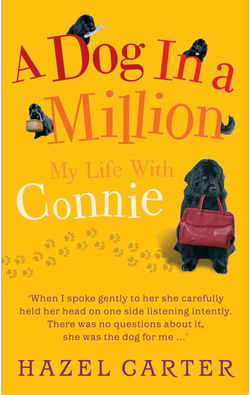 Book cover of A Dog in a Million: My Life with Connie
