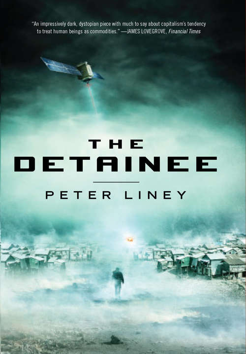 Book cover of The Detainee