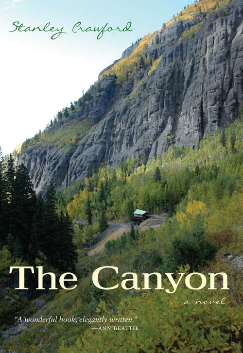 Book cover of The Canyon: A Novel