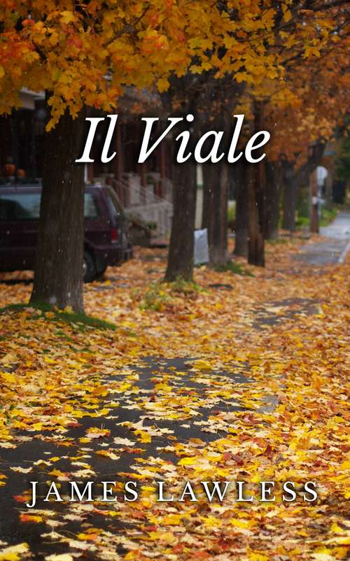 Book cover of Il Viale