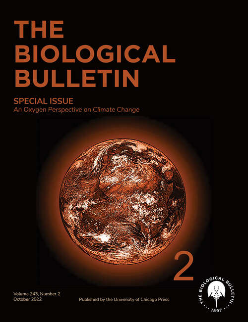 Book cover of The Biological Bulletin, volume 243 number 2 (October 2022)