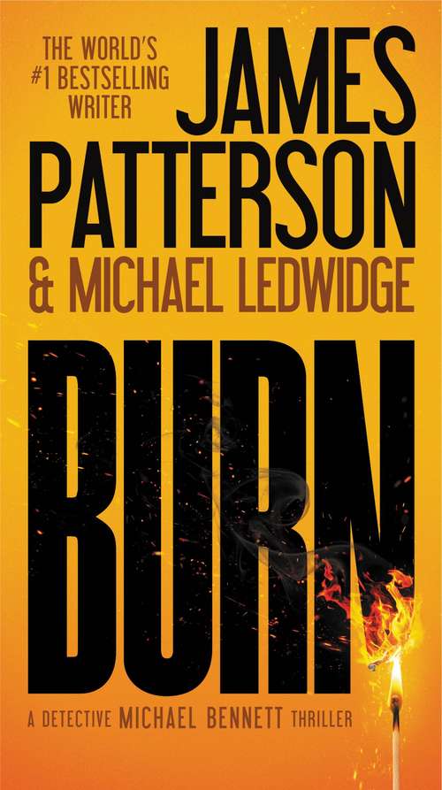 Book cover of Burn (Michael Bennett #7)