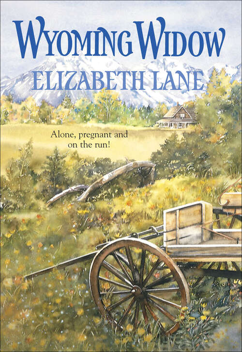 Book cover of Wyoming Widow