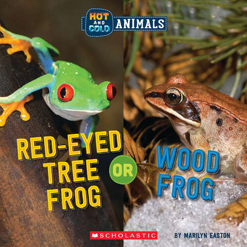 Book cover of Red-Eyed Tree Frog or Wood Frog: Wild World (Hot and Cold Animals)