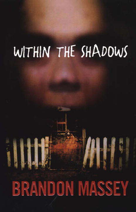 Book cover of Within The Shadows
