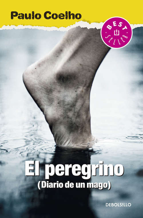 Book cover of El peregrino