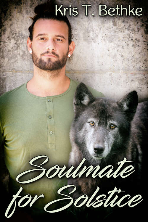 Book cover of Soulmate for Solstice