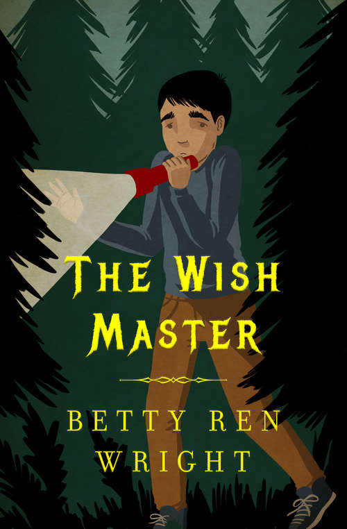 Book cover of The Wish Master