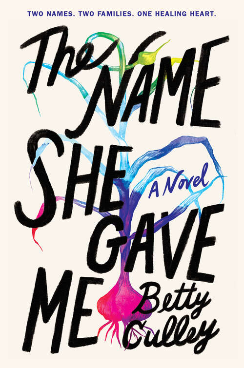 Book cover of The Name She Gave Me