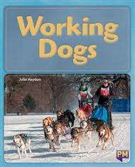 Book cover of Working Dogs (Into Reading, Level L #14)