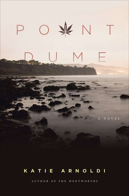 Book cover of Point Dume: A Novel