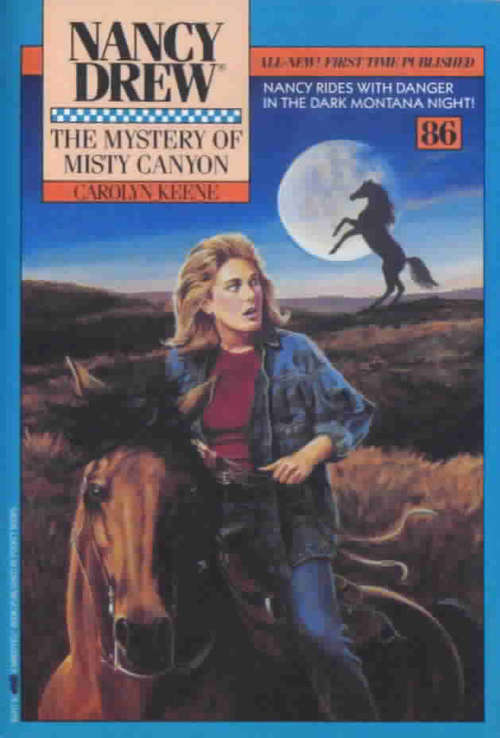 Book cover of The Mystery of Misty Canyon