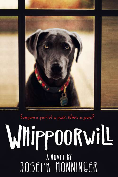 Book cover of Whippoorwill