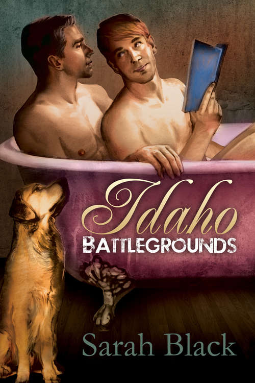 Book cover of Idaho Battlegrounds