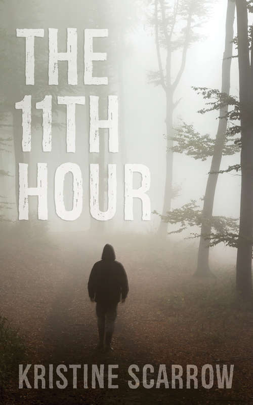 Book cover of The 11th Hour