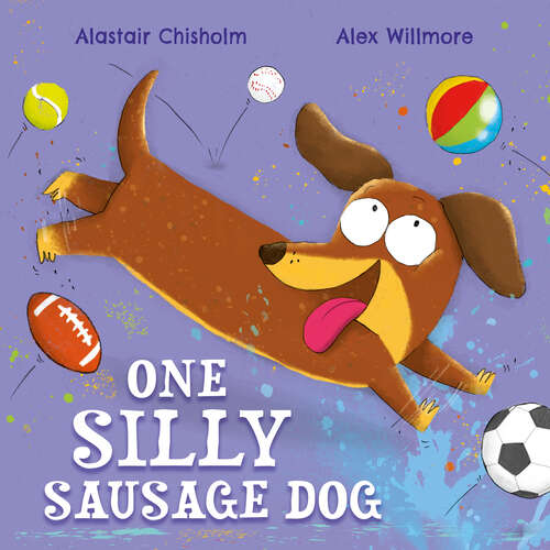 Book cover of One Silly Sausage Dog