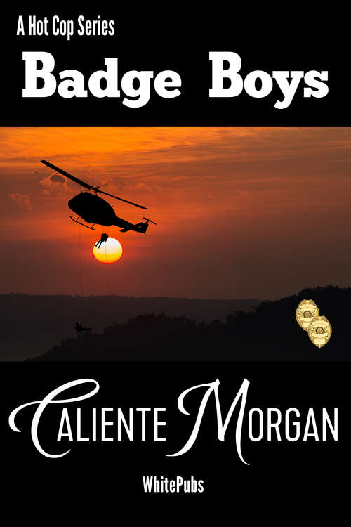 Book cover of Badge Boys