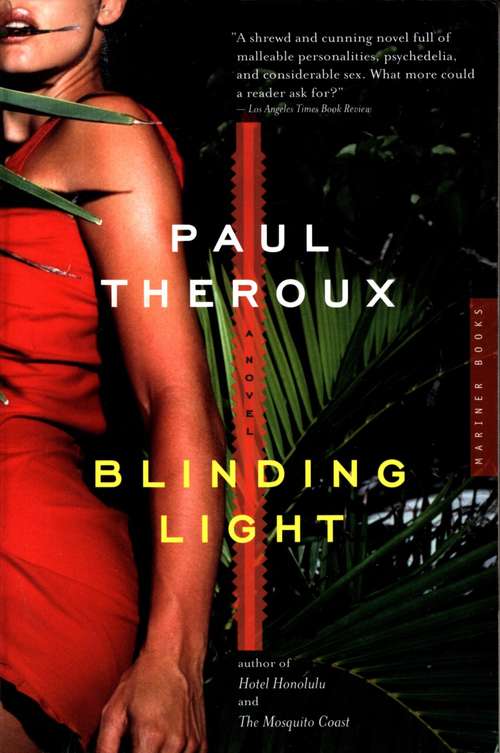 Book cover of Blinding Light