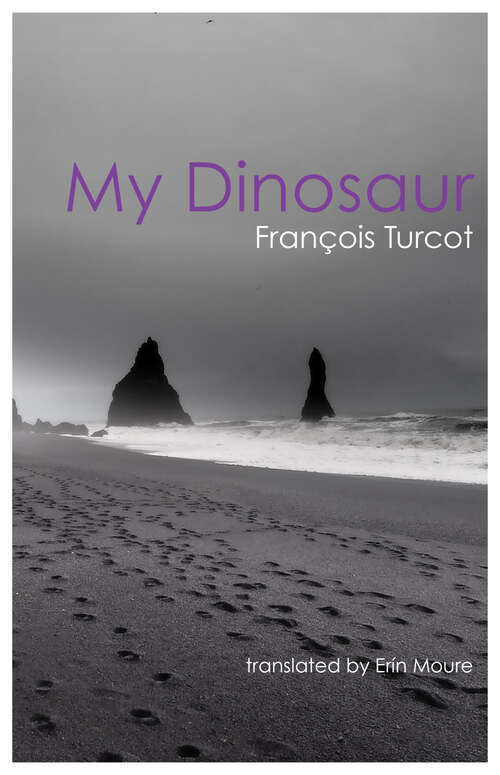 Book cover of My Dinosaur (Literature in Translation Series)