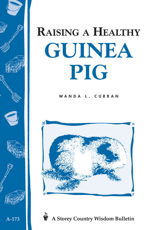 Book cover of Raising a Healthy Guinea Pig: Storey's Country Wisdom Bulletin A-173 (Storey Country Wisdom Bulletin Ser.)
