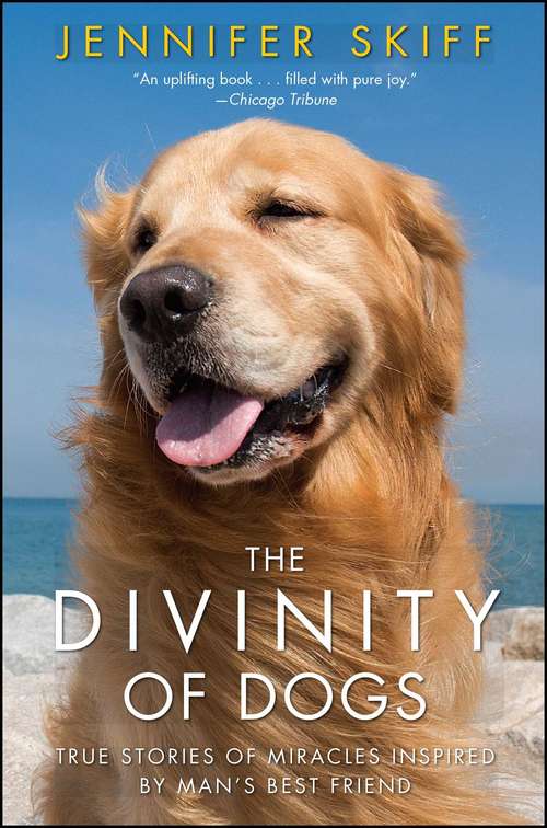 Book cover of The Divinity of Dogs: True Stories of Miracles Inspired by Man's Best Friend