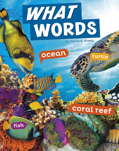 Book cover of What Words (Word Play)