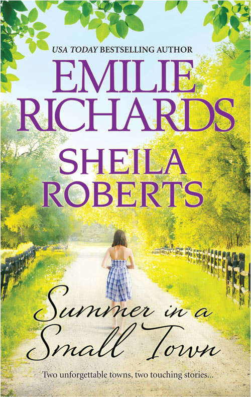 Book cover of Summer in a Small Town